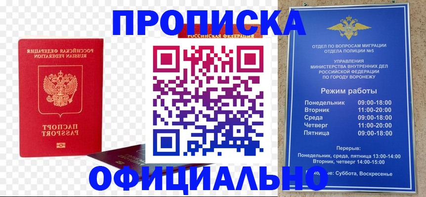 прописка иностранных граждан в Электрогорске